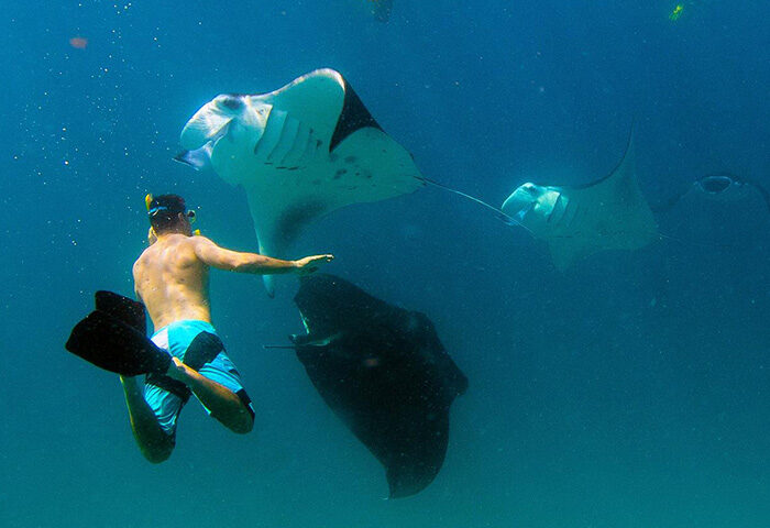A gay man swims with manta rays in the Maldives. One of the coolest things to do in Maldives. Anantara Veli Resort.