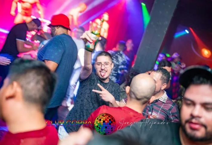 Gay nightlife experience at Club Cobra. Men dancing, drinking, and socializing in a vibrant, colorful club setting. Nightlife travel advice.