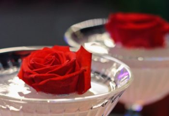 Cocktails at Coming Out Bar, Rome. Two martini glasses with red roses floating in them. Rome gay travel.