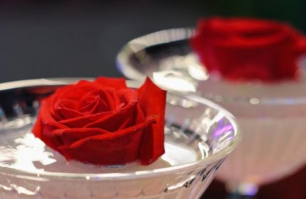 Cocktails at Coming Out Bar, Rome. Two martini glasses with red roses floating in them. Rome gay travel.