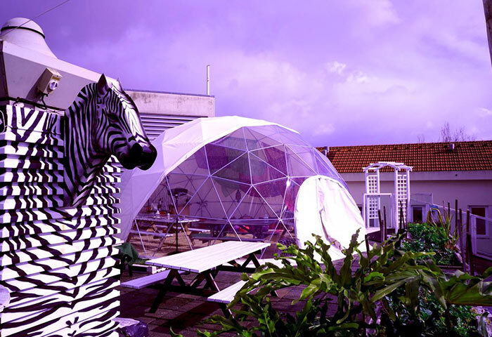 Sunset Destination Hostel's rooftop. Zebra art, dome structure, picnic tables. Cool hostel near Lisbon with gay sauna, Trombeta Bath.