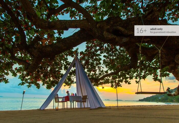 Koh Phangan Adults Only Resort beach dining. Romantic sunset dinner under a tree, swing. Gay beach hotels, Explorar Koh Phangan.