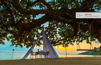 Koh Phangan Adults Only Resort beach dining. Romantic sunset dinner under a tree, swing. Gay beach hotels, Explorar Koh Phangan.