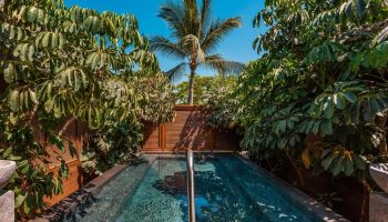 Delta Hotels by Marriott Riviera Nayarit All-Inclusive pool view. Lush greenery surrounds a private pool at the gay-friendly resort.