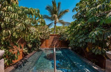 Delta Hotels by Marriott Riviera Nayarit All-Inclusive pool view. Lush greenery surrounds a private pool at the gay-friendly resort.