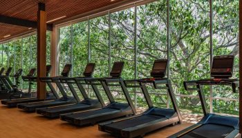 Gym at Delta Hotels by Marriott Riviera Nayarit All-Inclusive. Treadmills face a window with nature views. Ideal for gay men's travel fitness.