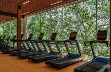 Gym at Delta Hotels by Marriott Riviera Nayarit All-Inclusive. Treadmills face a window with nature views. Ideal for gay men's travel fitness.