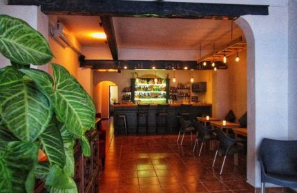 Elixir Mixology Bar in Puerto Vallarta. Interior view of the gay bar, showing the bar, tables, chairs, and decor. Gay party and drag venue.