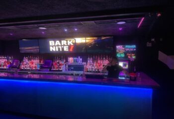 Executive Suite bar: Bartender at Bark N'Ite, a gay bar. The bar is lit with blue lights. Liquor bottles line the shelves. Neon signs.