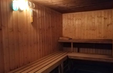 Fenix Sauna Milano interior. Wooden benches and walls create a traditional sauna experience. A relaxing space for gay men's travel.