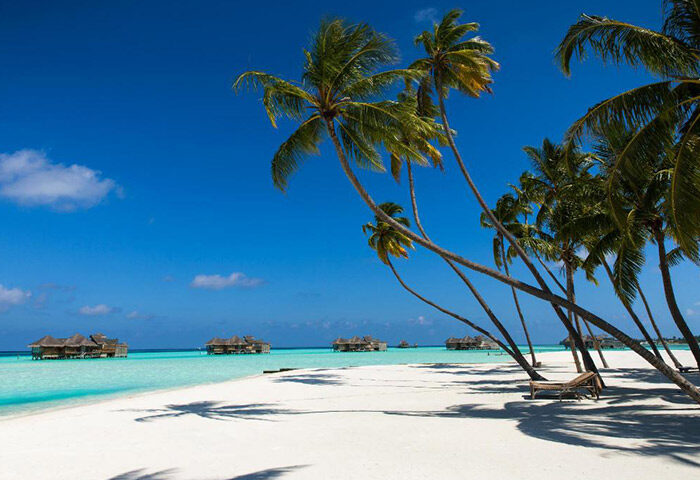 Gili Lankanfushi Maldives beachfront view with palm trees and overwater bungalows. Find cheap gay-friendly hotels in Maldives.