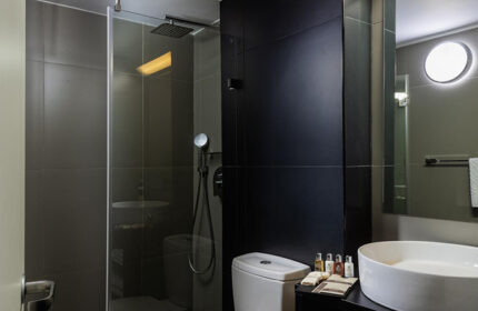 Brown Seaside Hotel bathroom. Find gay hotel room for 3 people in Tel Aviv Gayborhood near Hilton Beach at Brown Hotels. Shower, sink, toilet.