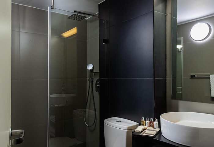 Brown Seaside Hotel bathroom. Find gay hotel room for 3 people in Tel Aviv Gayborhood near Hilton Beach at Brown Hotels. Shower, sink, toilet.