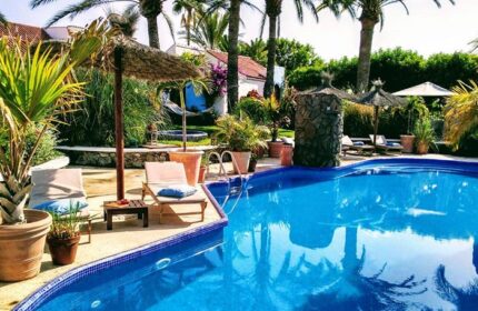 Birdcage Gay Men Resort pool view. Relaxing gay men only hotel near Yumbo Center, Gran Canaria. Palm trees, sunbeds, and blue water.