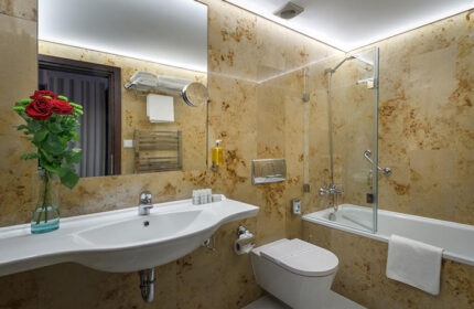 Hotel Clementin Old Town bathroom. Modern design with marble walls, a bathtub with glass screen, and a bouquet of red roses. Gay Prague hotel.