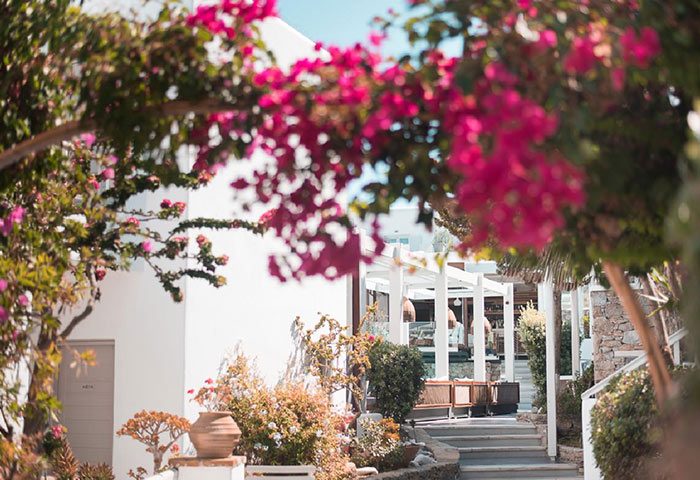 Semeli Hotel Mykonos pool suite in Mykonos Town's gayborhood. Luxury suite for six people, framed by bougainvillea. Gay travel advice.