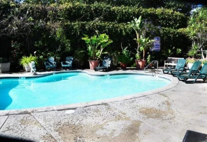 Flex LA pool. Outdoor pool with lounge chairs and lush greenery. A relaxing spot for gay men traveling to Los Angeles. Flex-LA-Pool.jpg