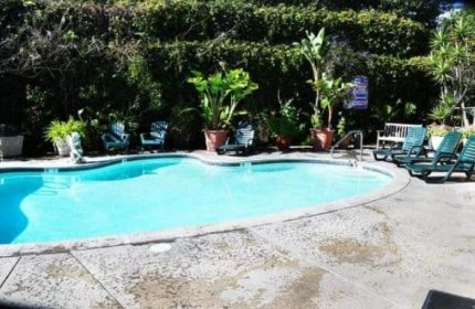 Flex LA Pool