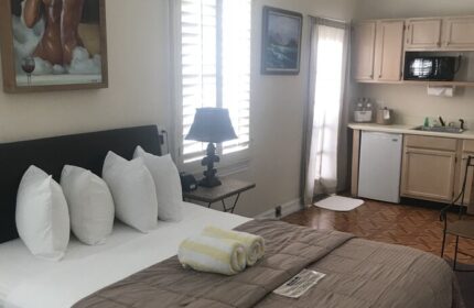New Orleans gay-friendly hotel room. Queen bed with kitchen, microwave, mini fridge. Painting of men in tub. Perfect for gay travel.