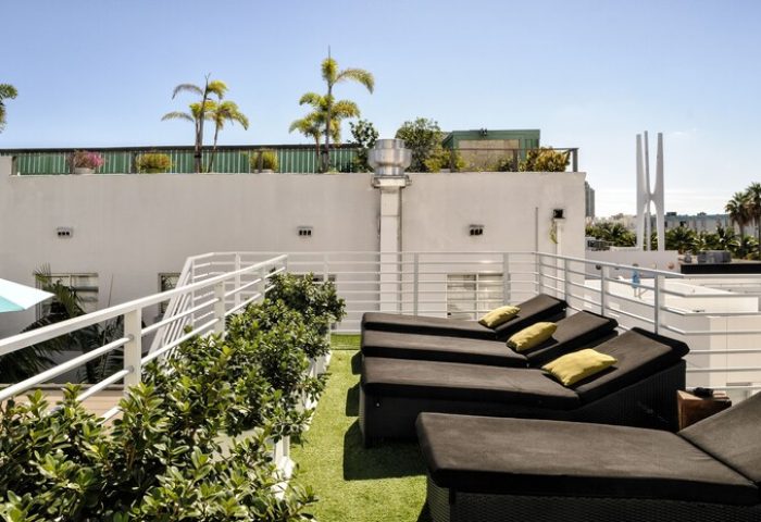 Rooftop lounge at Posh South Beach, a gay-friendly hotel. Sun loungers, palm trees, and modern architecture create a stylish, relaxing vibe.