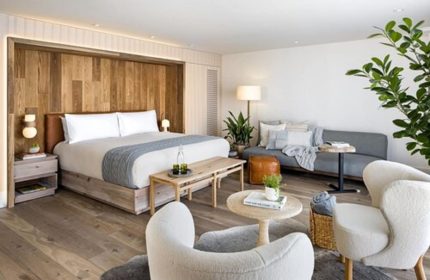 1 Hotel Toronto room interior. Gay-friendly hotel with king bed, couch, chairs, and plants. Luxury travel for gay men in Toronto.
