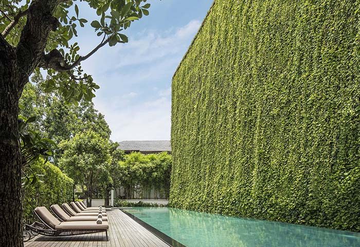 137 Pillars House Chiang Mai pool view. Gay-friendly hotel with lush vertical garden. Relaxing poolside for gay men travelers.