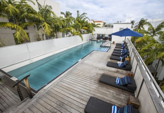 Posh South Beach gay-friendly hotel. Rooftop pool with lounge chairs and blue umbrella. Palm trees add to the relaxing, tropical vibe.