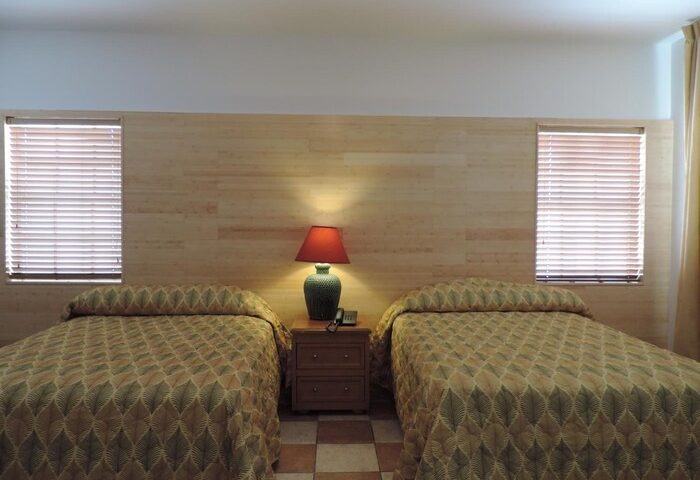 James Hotel's gay-friendly room: Two beds with leaf-patterned covers, nightstand with lamp, and window with blinds. Comfortable stay.