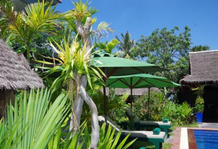 3 Monkeys Villa gay hotel pool view. Pet-friendly gay hotel with lush greenery, sun loungers, and umbrellas. Tropical gay travel destination.