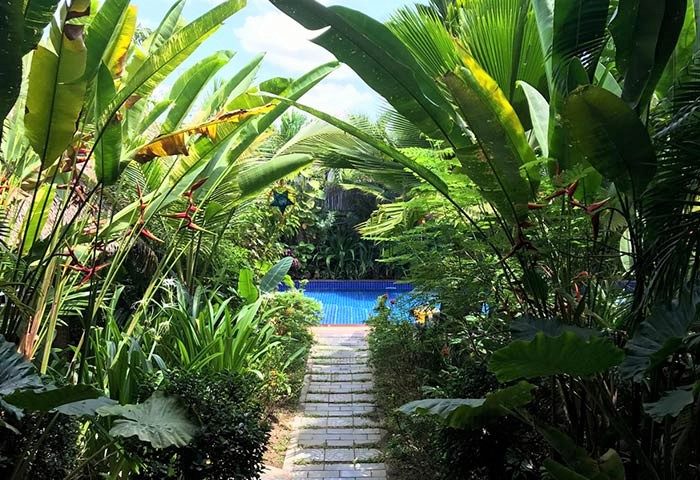Path to pool at 3 Monkeys Villa, a gay-friendly hotel. Lush tropical plants surround the pool. Pet-friendly resort. Gay hotel.