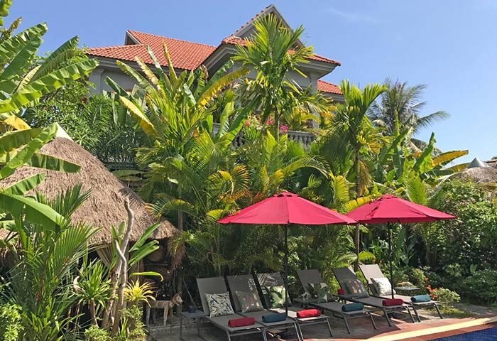 3 Monkeys Villa gay hotel pool area. Gay-friendly, pet-friendly hotel with lush tropical gardens, sunbeds, and parasols. Relaxing gay travel.