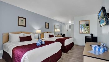 Hotel room at gay-friendly The Grand Resort and Spa. Two beds, modern decor, TV, and amenities. All-male spa resort accommodations.