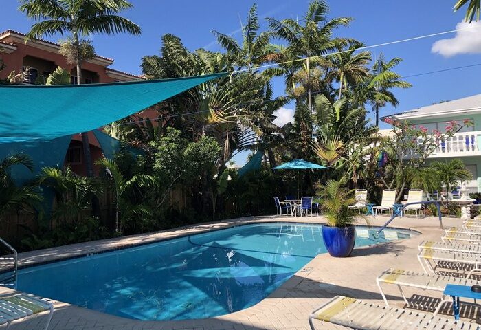 Pool at Cheston House, a gay-friendly, clothing-optional guesthouse. Tropical plants and palm trees surround the pool area.