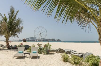 Le Royal Méridien Beach Resort & Spa: Beach view with loungers, palm trees, and the Ain Dubai ferris wheel. Gay-friendly hotel.