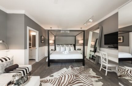 Gay-Friendly Hotel room at Alexander's Guesthouse. Features a four-poster bed, zebra rug, desk, and modern decor. Stylish gay travel lodging.