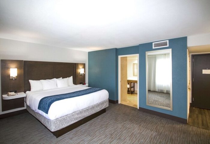Comfort Inn & Suites Downtown Brickell-Port of Miami gay-friendly hotel room. King bed, blue accent wall, and bathroom entrance. Miami travel.
