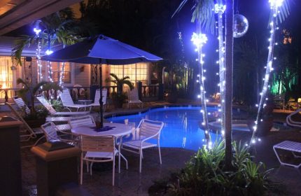 Coral Reef Guesthouse pool at night. Gay-friendly hotel with illuminated palm trees, a disco ball, and lounge chairs. Ideal for gay men's travel.