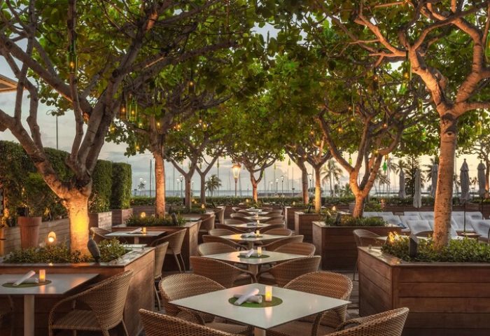 The Modern Honolulu Hilton Vacation Club gay-friendly hotel. Outdoor dining area with trees and lights. Gay travel advice.