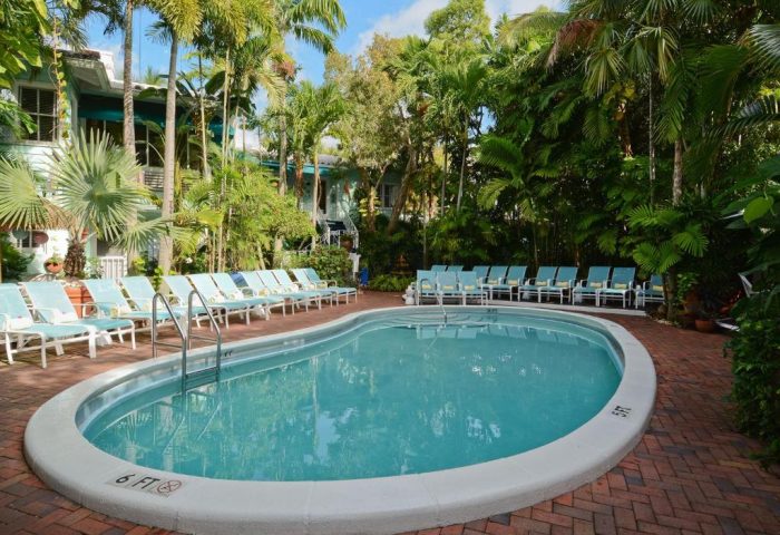 Pineapple Point Guesthouse & Resort pool view. Gay-friendly hotel with lounge chairs, palm trees. A tropical gay men's resort paradise.