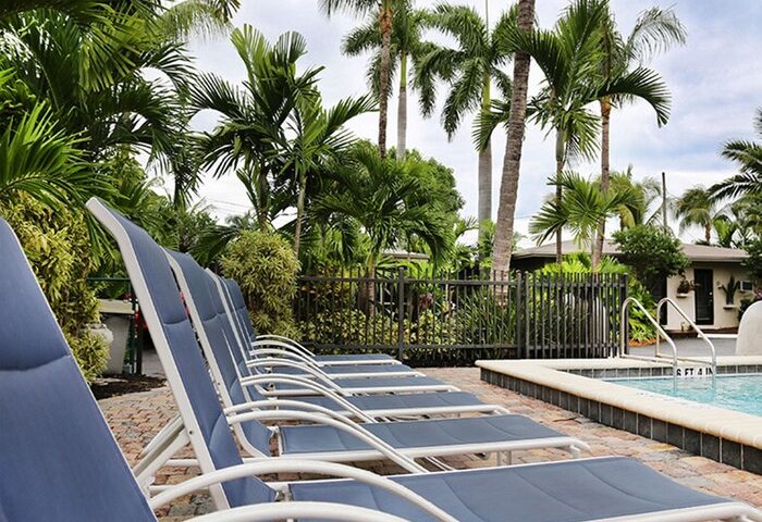 Poolside at The Cabanas Guesthouse & Spa, a gay men's resort. Lounge chairs invite relaxation amidst palm trees. Gay-friendly hotel.