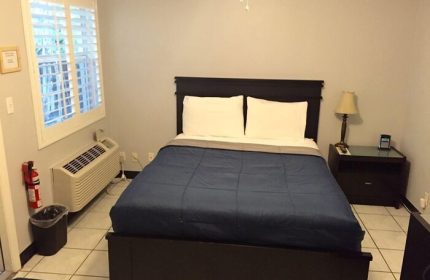 Coral Reef Guesthouse room. Gay-friendly hotel with bed, nightstand, lamp, and window. A comfortable stay for gay travelers.