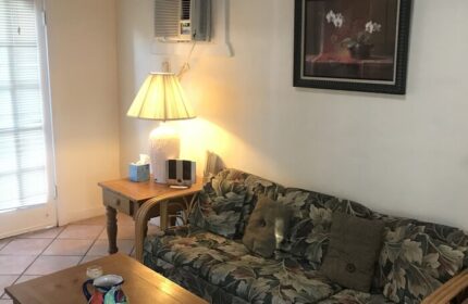 Interior of a gay-friendly hotel in New Orleans. Living room with couch, coffee table, lamp, and painting. Comfortable stay at this house.
