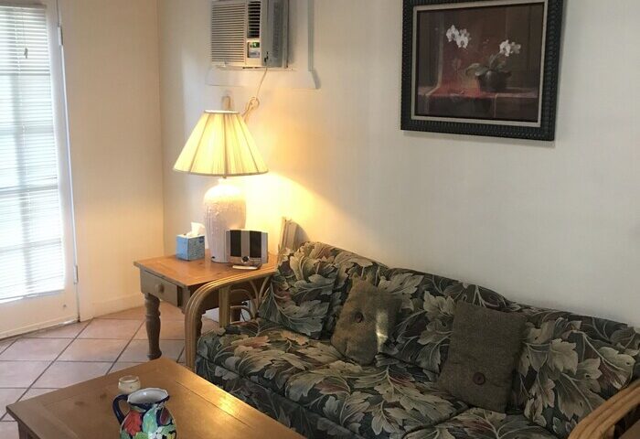 Interior of a gay-friendly hotel in New Orleans. Living room with couch, coffee table, lamp, and painting. Comfortable stay at this house.