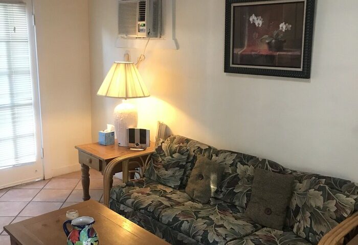 Interior of a gay-friendly hotel in New Orleans. Living room with couch, coffee table, lamp, and painting. Comfortable stay at this house.