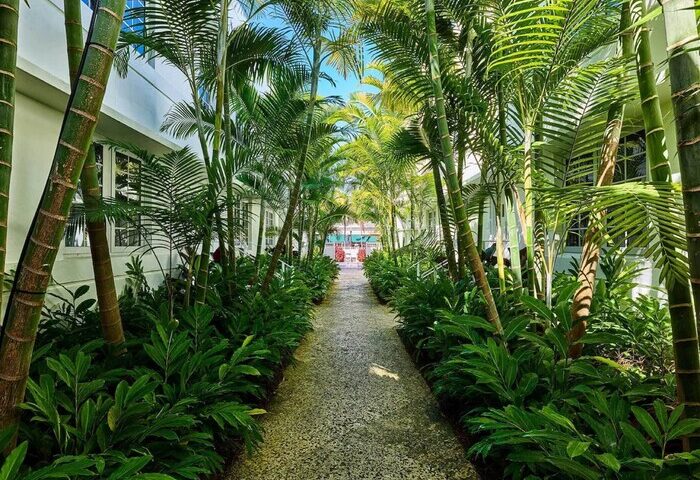 Lush walkway at Axel Beach Miami, a gay-friendly hotel. Palm trees line the path, leading to a tropical getaway for gay men's travel.