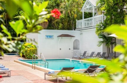NYAH Key West adults-only, gay-friendly hotel pool. Loungers surround the pool. Lush tropical foliage frames the scene. Relaxing vacation.