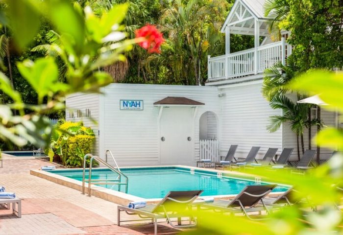 NYAH Key West adults-only, gay-friendly hotel pool. Loungers surround the pool. Lush tropical foliage frames the scene. Relaxing vacation.