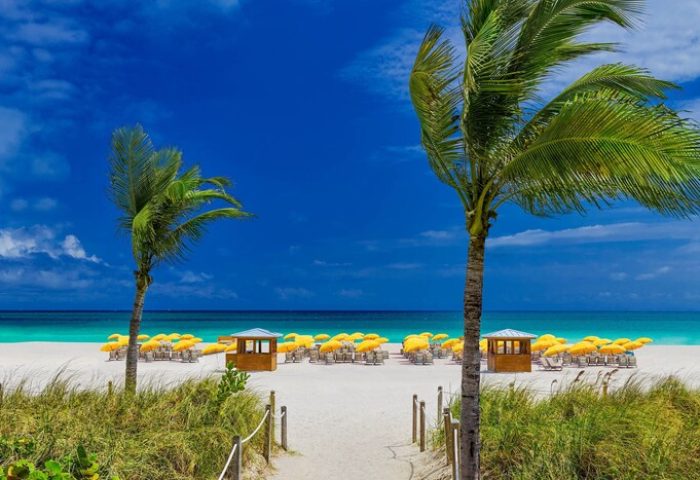 Royal Palm South Beach Miami gay-friendly hotel. Beach view with palm trees, yellow umbrellas, and cabanas. A Tribute Portfolio Resort.