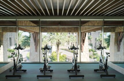 Gym at Sofitel Dubai The Palm Resort & Spa, a gay-friendly hotel, with exercise bikes facing tropical gardens. Fitness for gay men travelers.