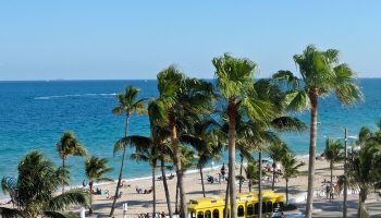 Beach view from a gay-friendly hotel. Palm trees frame the ocean, beachgoers, and a yellow trolley. Great spot for gay men's travel.